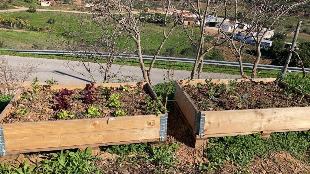 منزل الضيف تافيرا  في Yoga Farm المظهر الخارجي الصورة